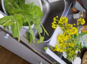 20180414_182246.jpg